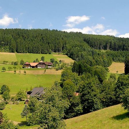 Riehle Hof Appartement Zell am Harmersbach Buitenkant foto