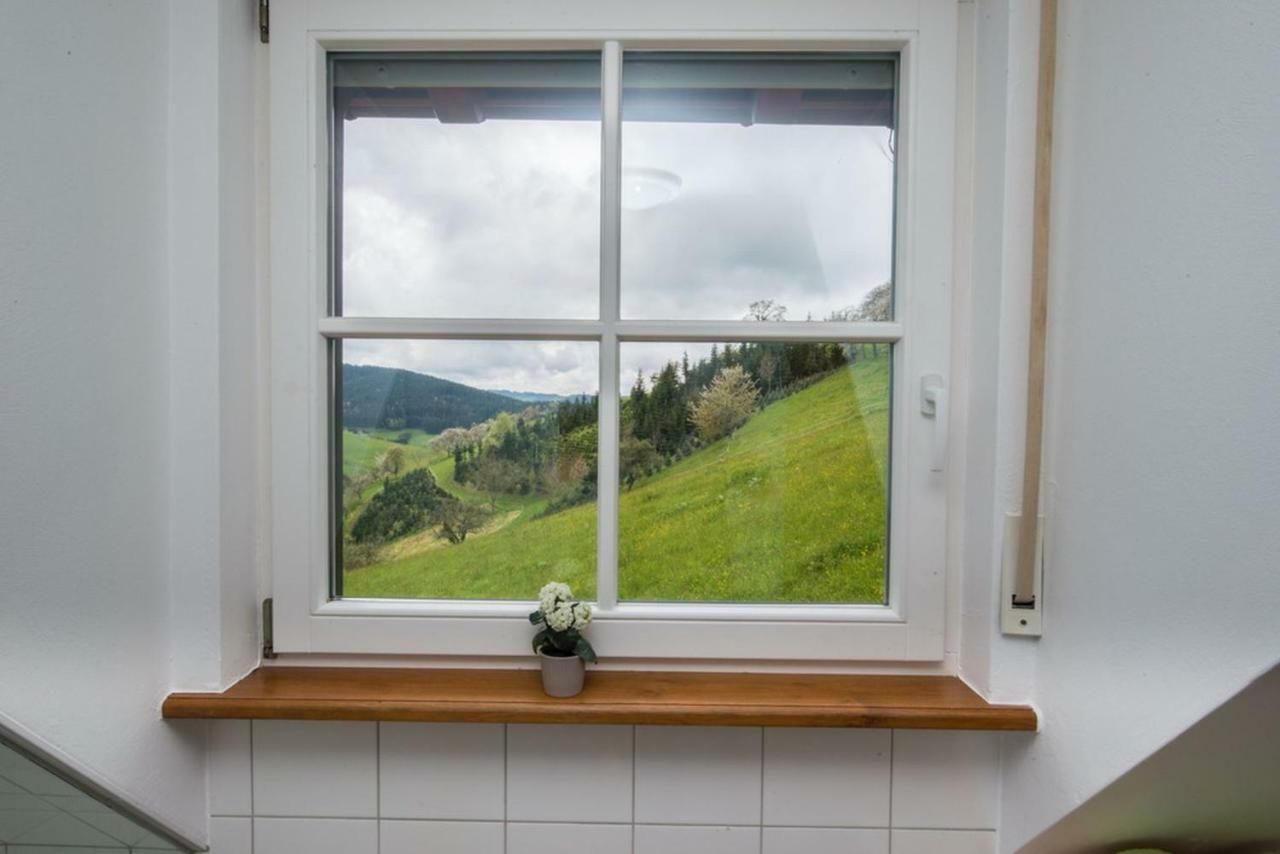 Riehle Hof Appartement Zell am Harmersbach Buitenkant foto