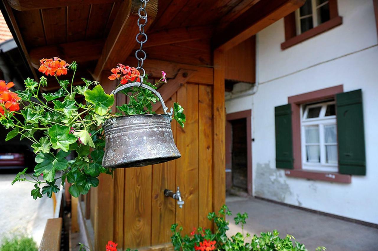 Riehle Hof Appartement Zell am Harmersbach Buitenkant foto