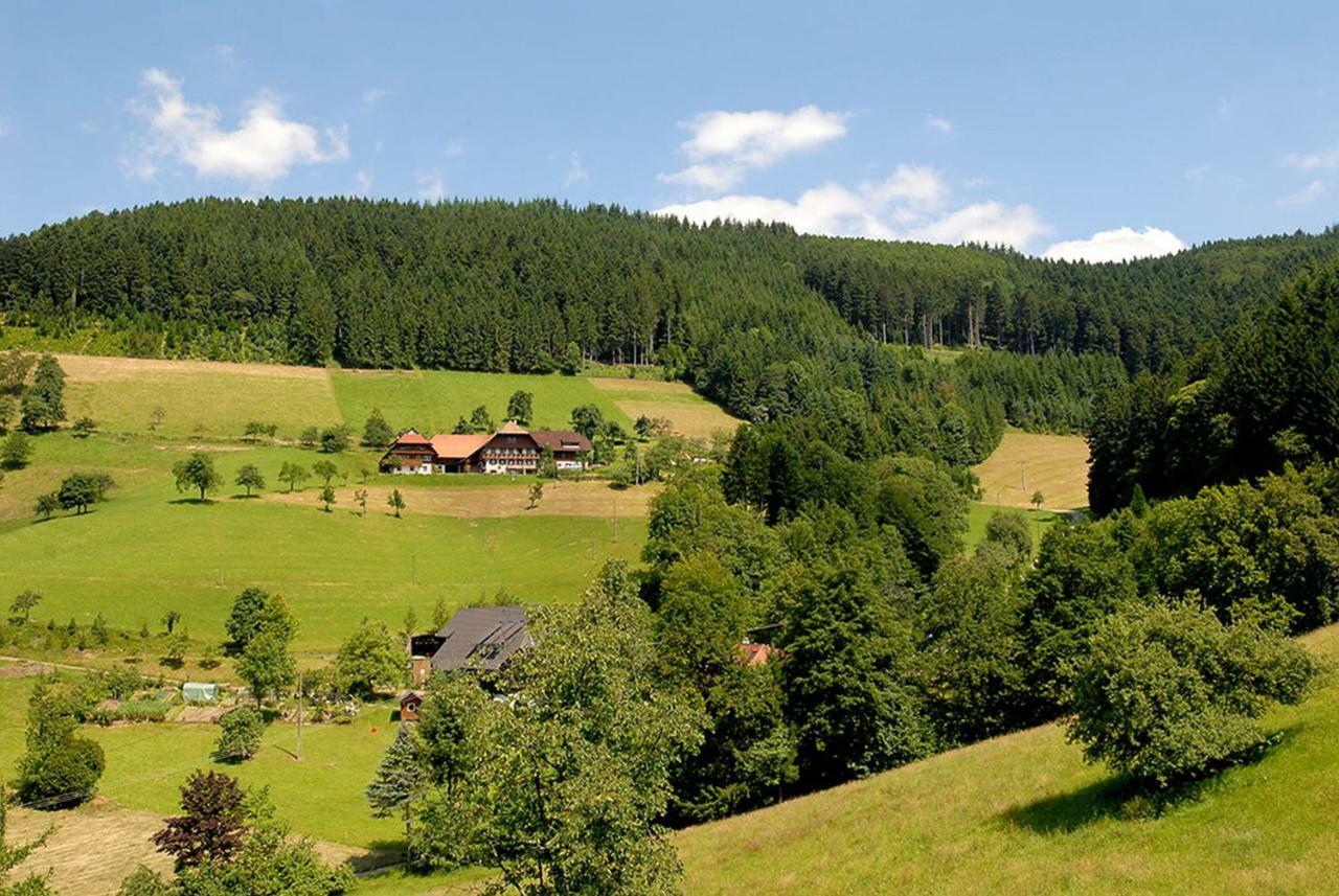 Riehle Hof Appartement Zell am Harmersbach Buitenkant foto